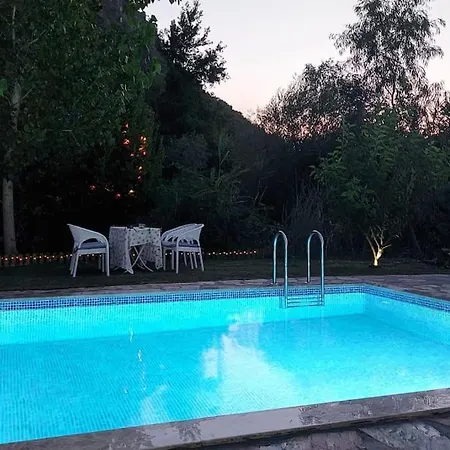 Chatterforest Dalyan Holiday home