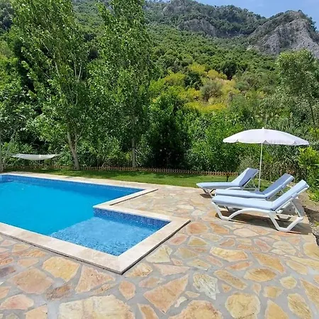 Chatterforest Dalyan *