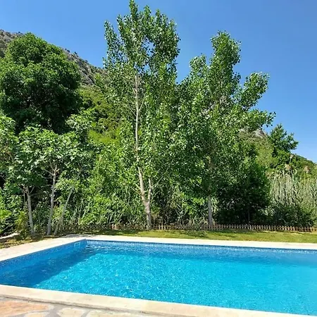 Chatterforest Dalyan Holiday home *
