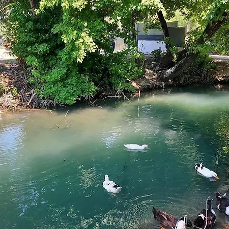 Chatterforest Dalyan Holiday home Ortaca (Mugla)