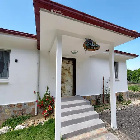 Chatterforest Dalyan