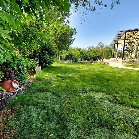 Chatterforest Dalyan Ortaca (Mugla)