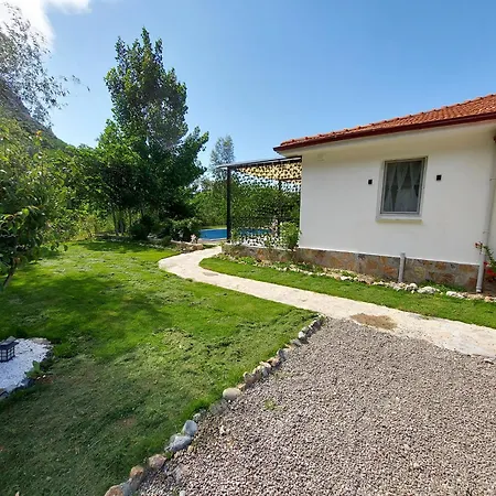 Chatterforest Dalyan *
